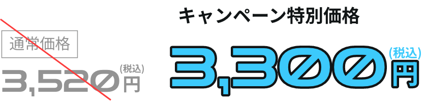 通常価格 3,520円（税込）から キャンペーン特別価格 3,300円（税込）